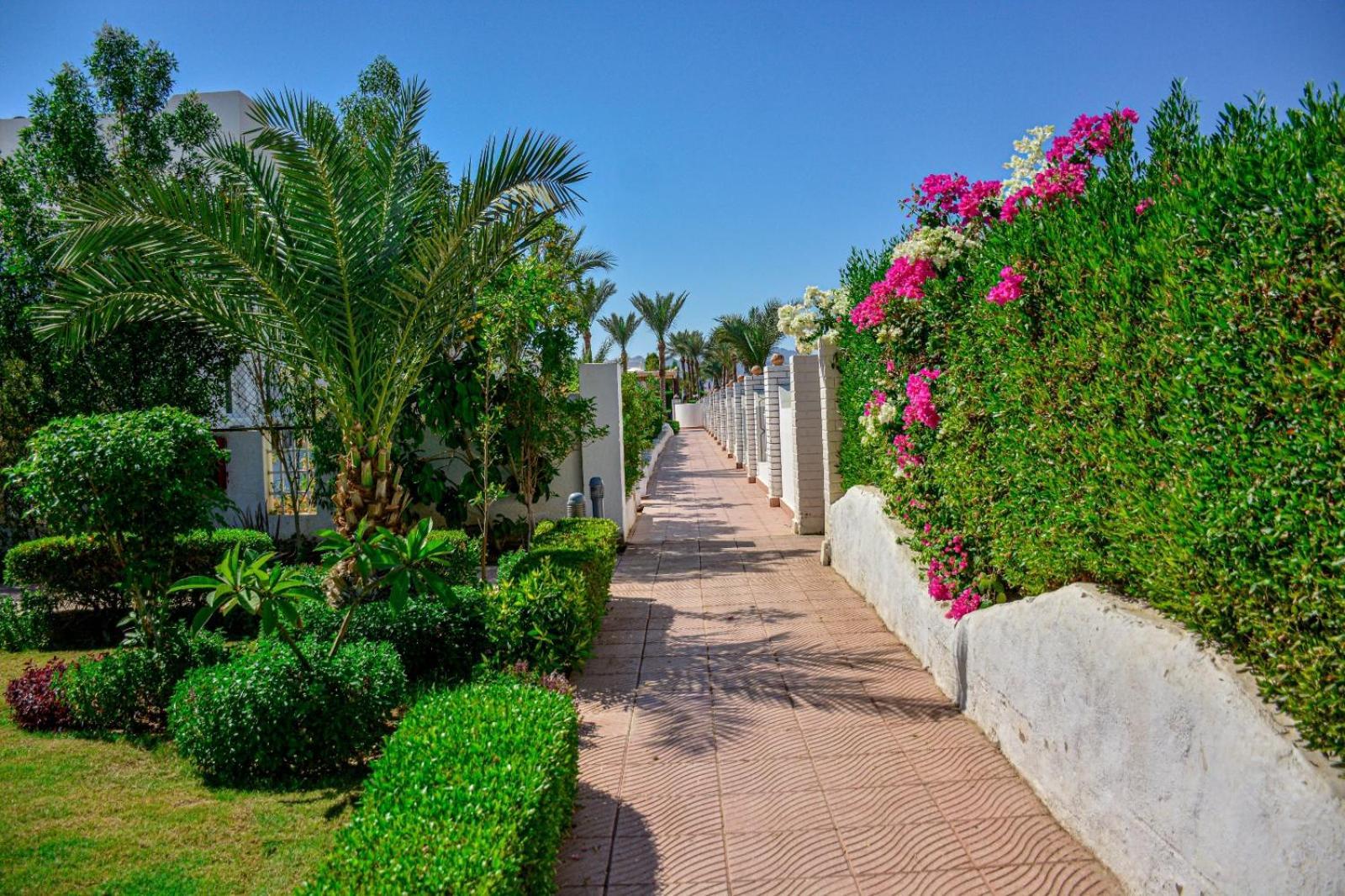 Desert View Sharm Hotel エクステリア 写真